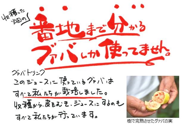 グァバ生産のこだわり